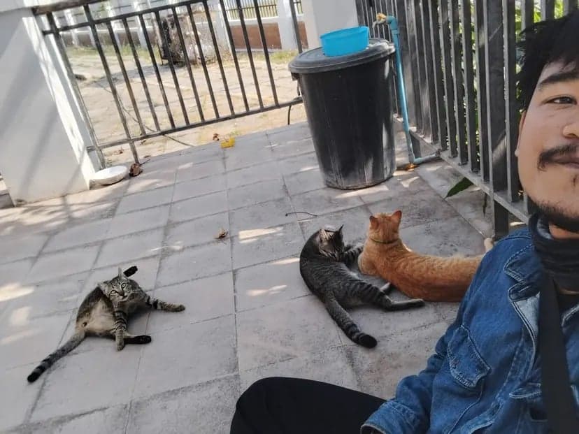 During my trips, I sometimes felt lonely. Thank you to these cats for being good friends. I hope they're doing well and that I can meet them again.
